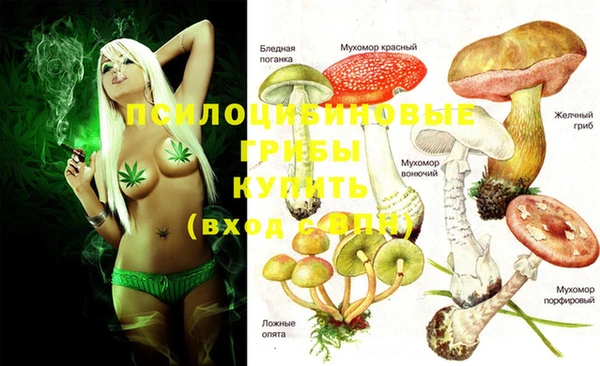 ECSTASY Белоозёрский