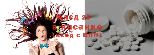 эйфоретик Баксан