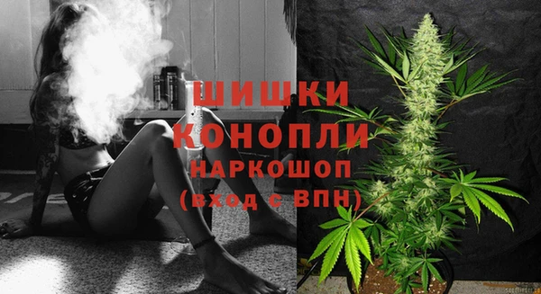 твердый Белокуриха