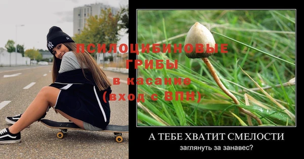 твердый Белокуриха